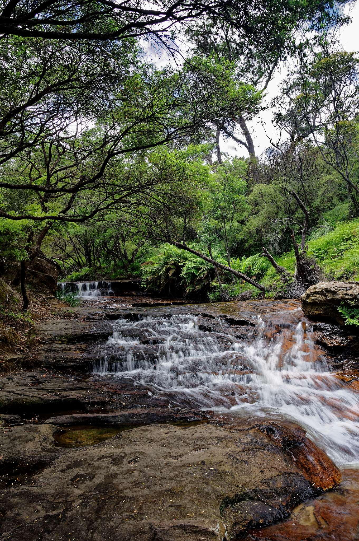 11 January 2023   0033Post P fotosbyme p1